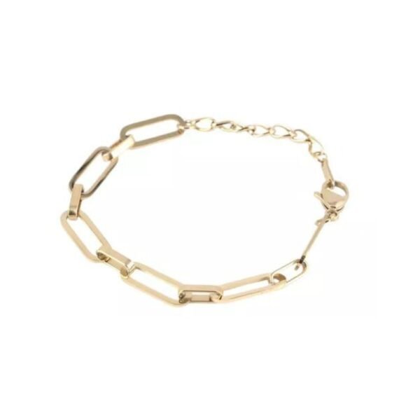 Pulsera De Acero Inoxidable, Chapeada En Oro De 14k. Pink R.