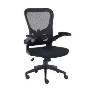 Silla Ejecutiva Nextep NE-650A Altura y Descansabrazos Ajustable Negro_0