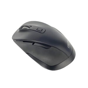 RATON INAL·MBRICO G-526