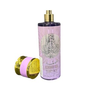 BR01-AR-42 NUEVA TAPA 250 ML SPRAY CORPORAL