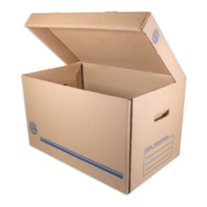 Inicio 35 CAJA DE ARCHIVO GEO KRAFT PARA REGISTRADOR CARTA