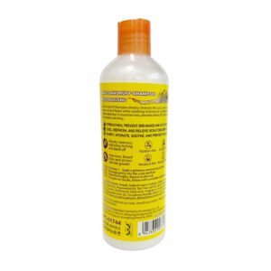 CHAMP˙ ANTICASPADE 500 ML