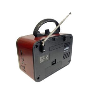 RADIO BLUETOOTH CL·SICA